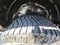 2022 Ford Bronco Wildtrak 4 Door Advanced 4x4