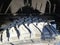 2023 Chevrolet Silverado 1500 Crew Cab Short Box 2-Wheel Drive RST