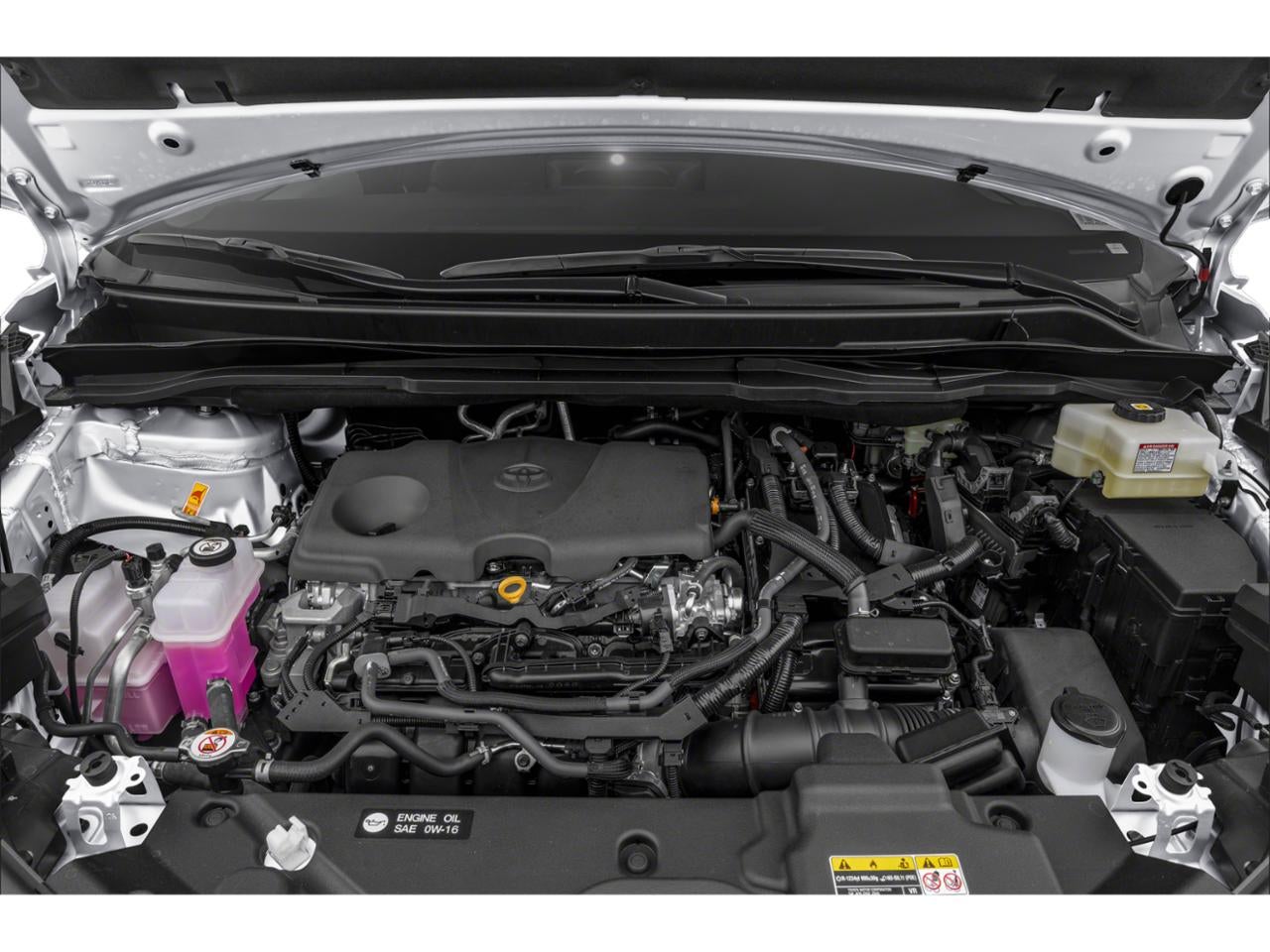 2025 Toyota Sienna LE AWD 8-Passenger (Natl)