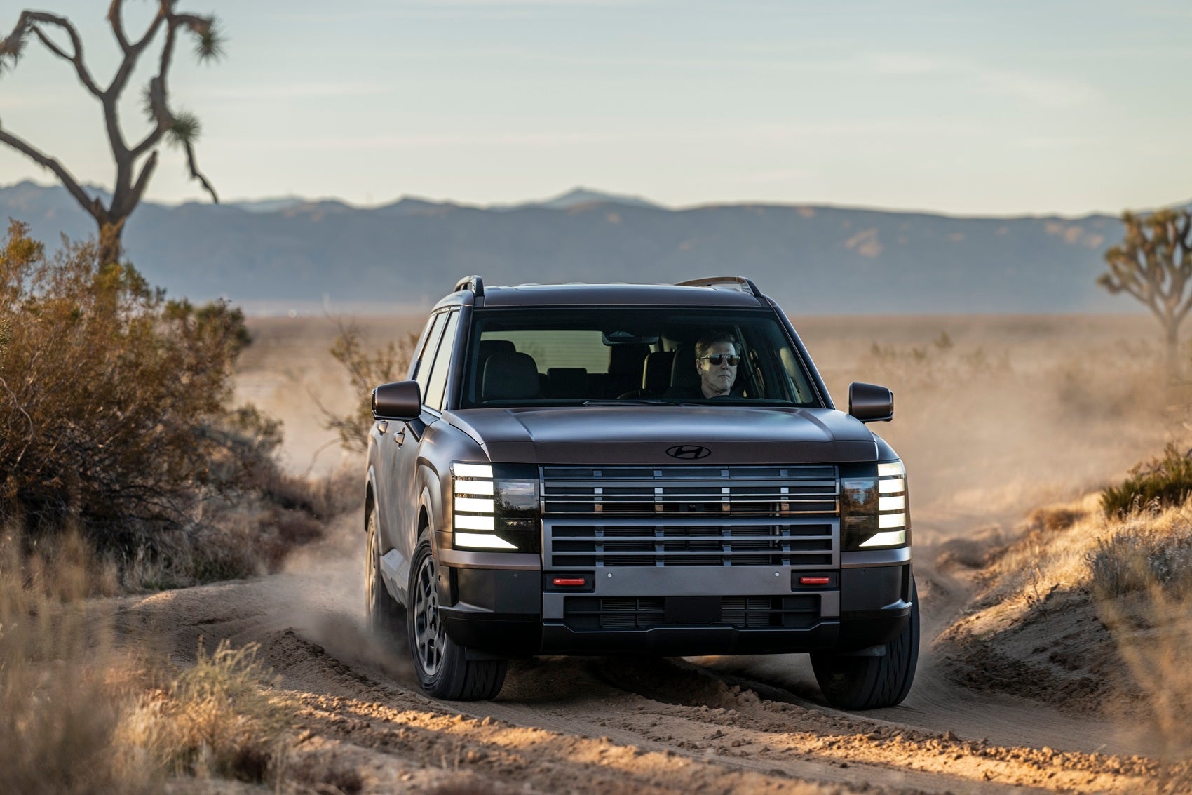 Maintain Your Car in the Desert